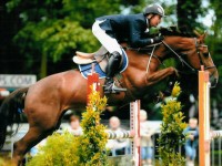 HROV Het Wase Paard (Sint-Niklaas) - 13-15/6/2008